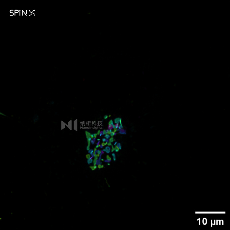 SpinX