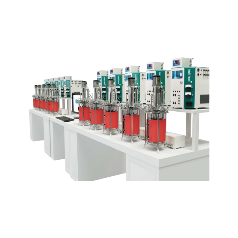 平行生物反应器 Intelli-Ferm mini V3.0 